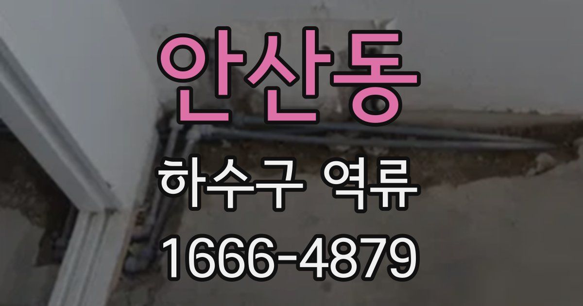 안산동 하수구 역류