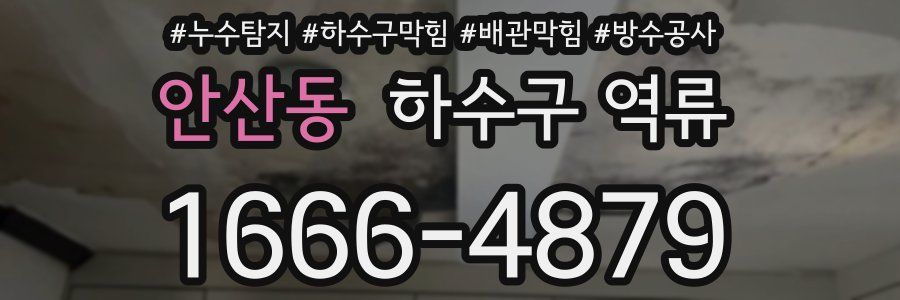 안산동 하수구 역류