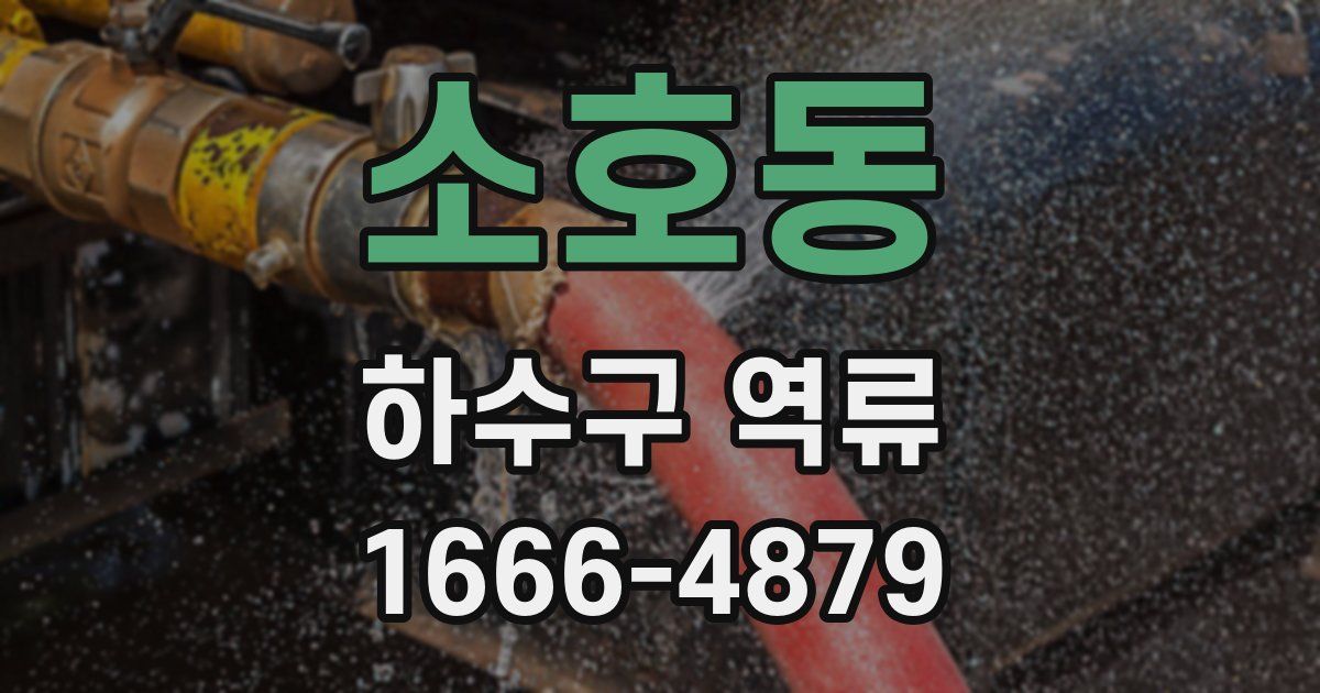 소호동 하수구 역류