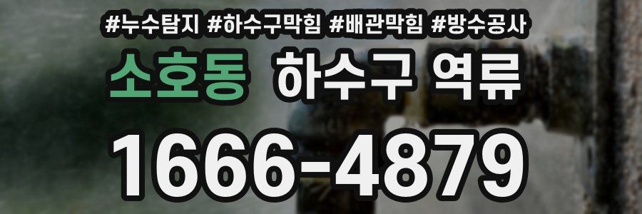 소호동 하수구 역류