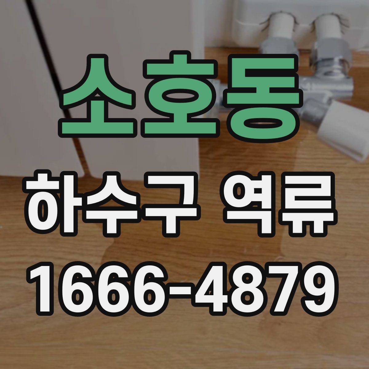 소호동 하수구 역류