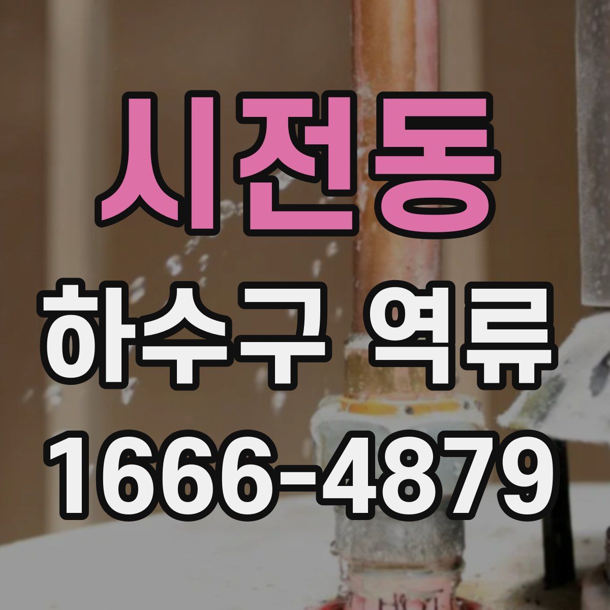 시전동 하수구 역류