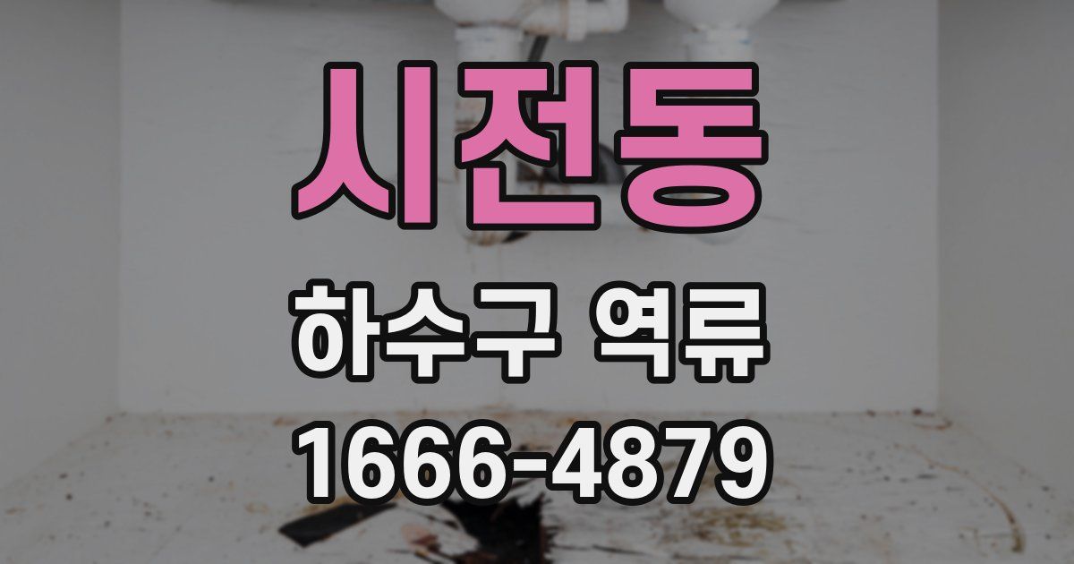 시전동 하수구 역류