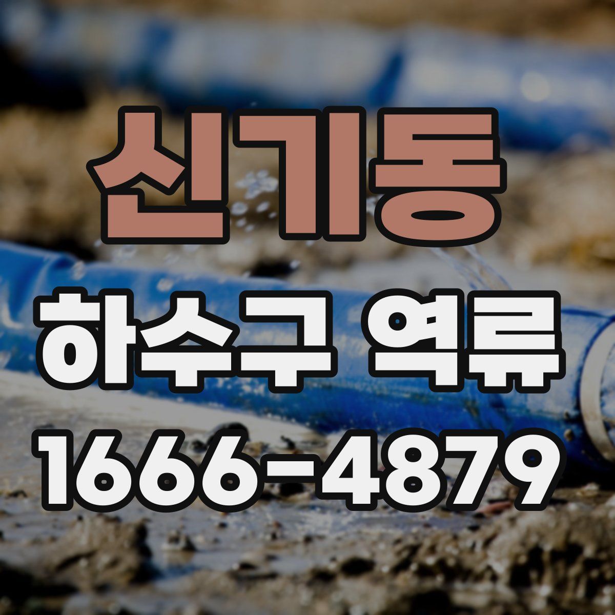 신기동 하수구 역류