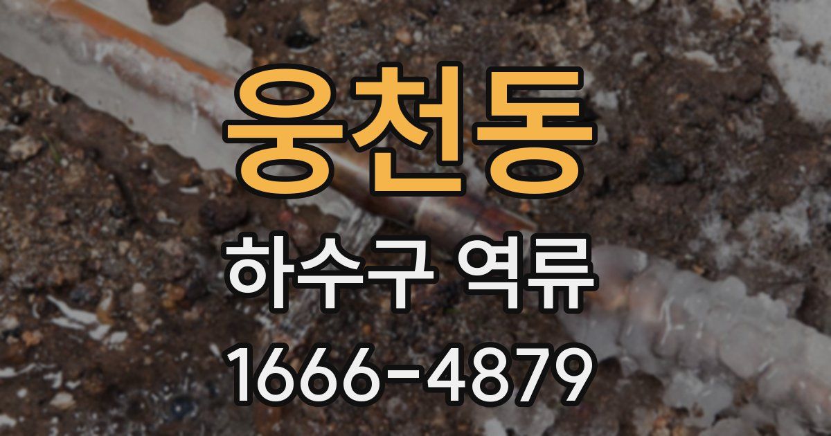 웅천동 하수구 역류