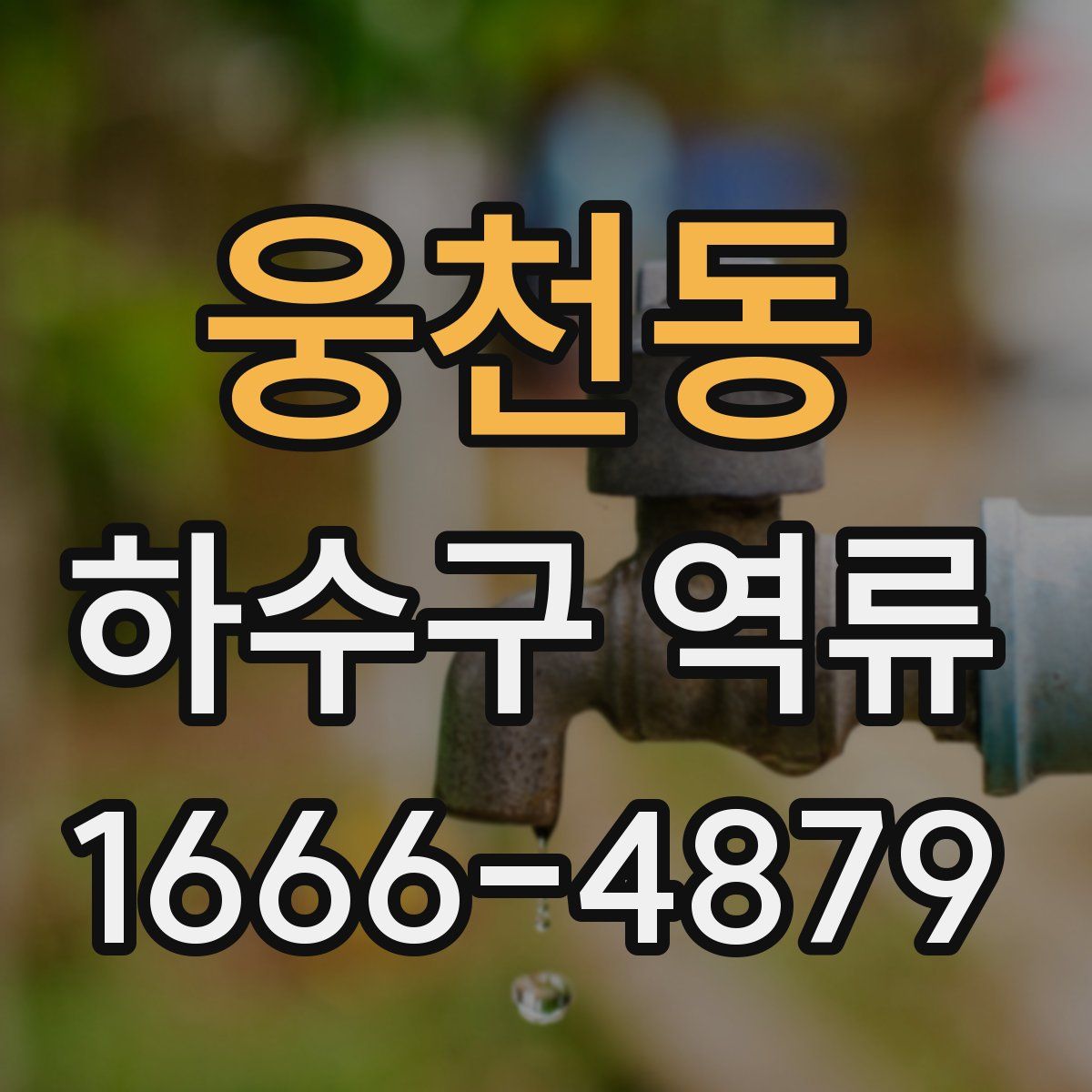 웅천동 하수구 역류