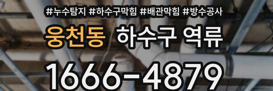 웅천동 하수구 역류