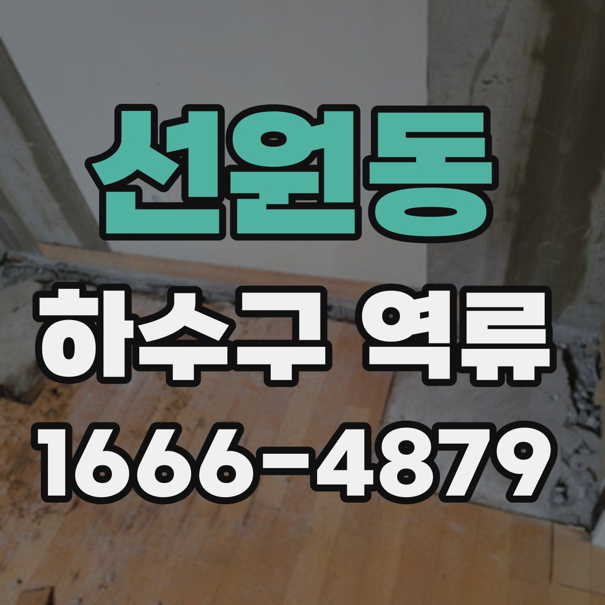 선원동 하수구 역류