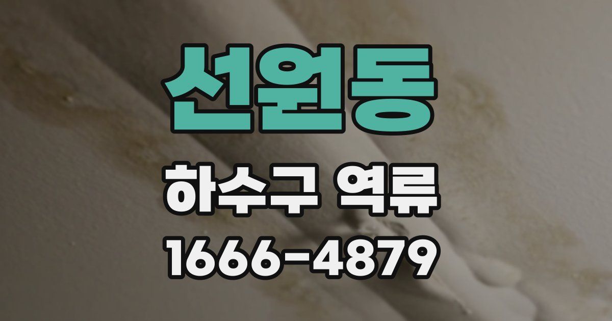 선원동 하수구 역류