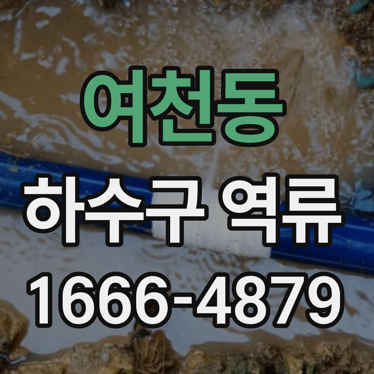 여천동 하수구 역류