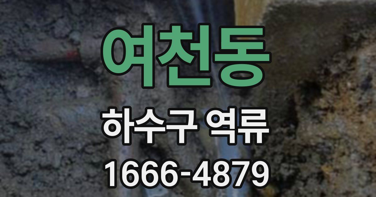 여천동 하수구 역류