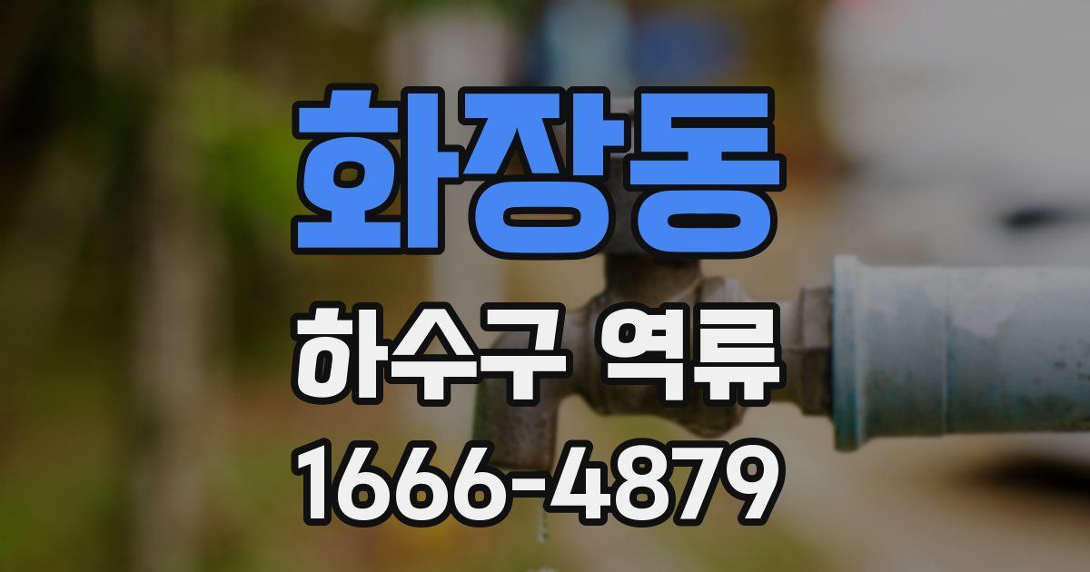 화장동 하수구 역류