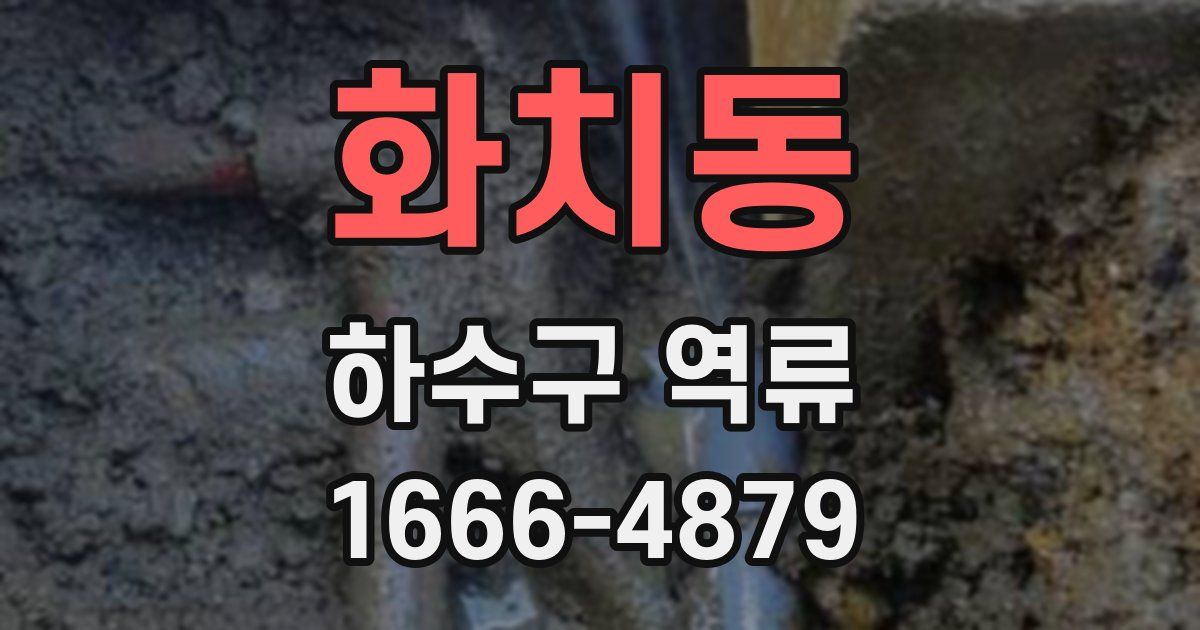 화치동 하수구 역류