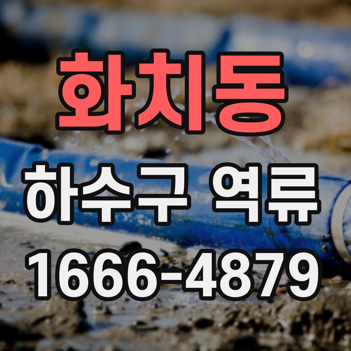 화치동 하수구 역류