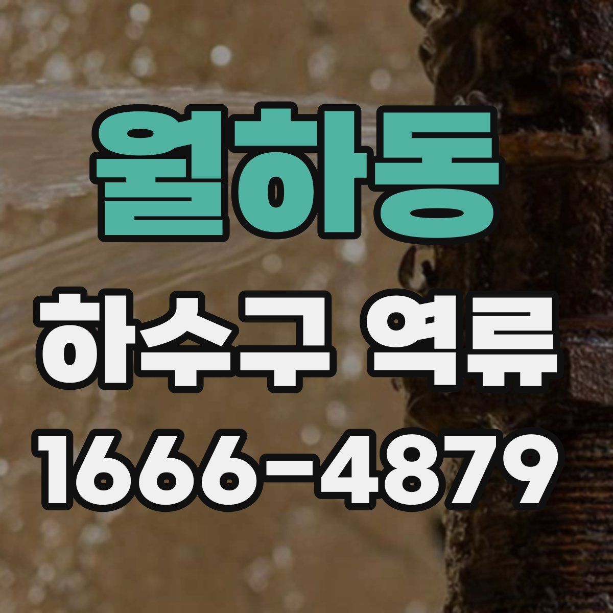 월하동 하수구 역류