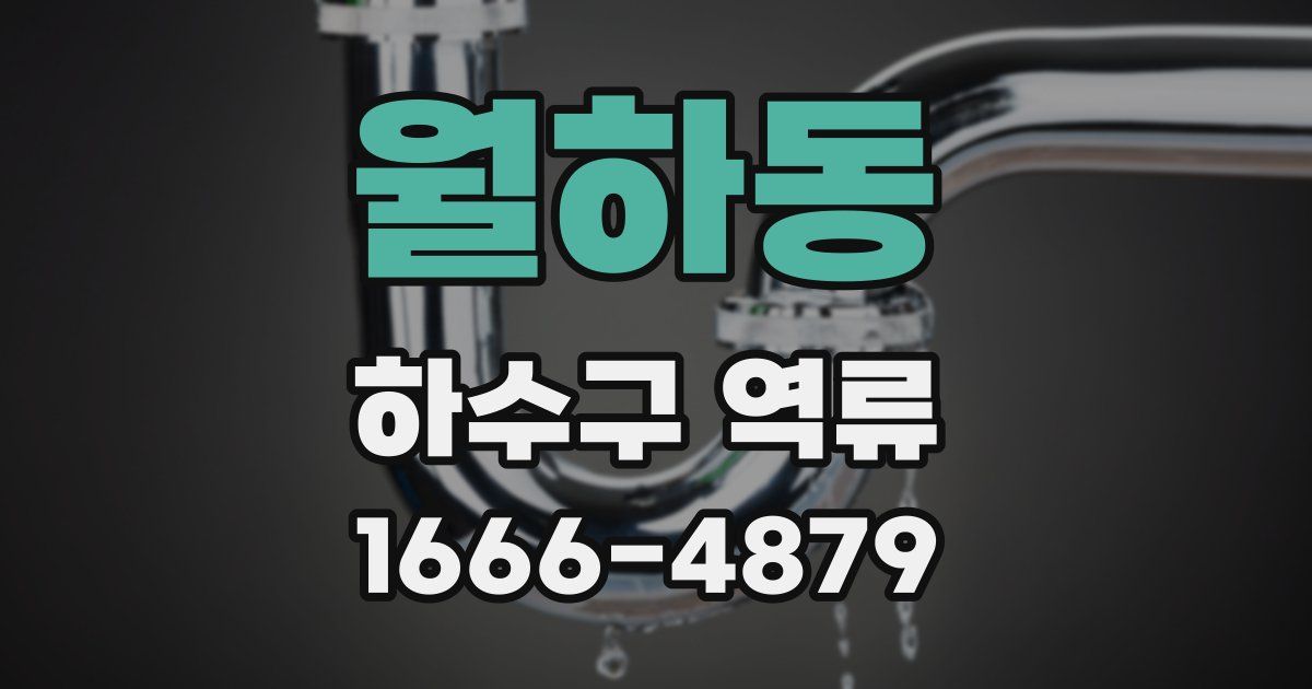월하동 하수구 역류