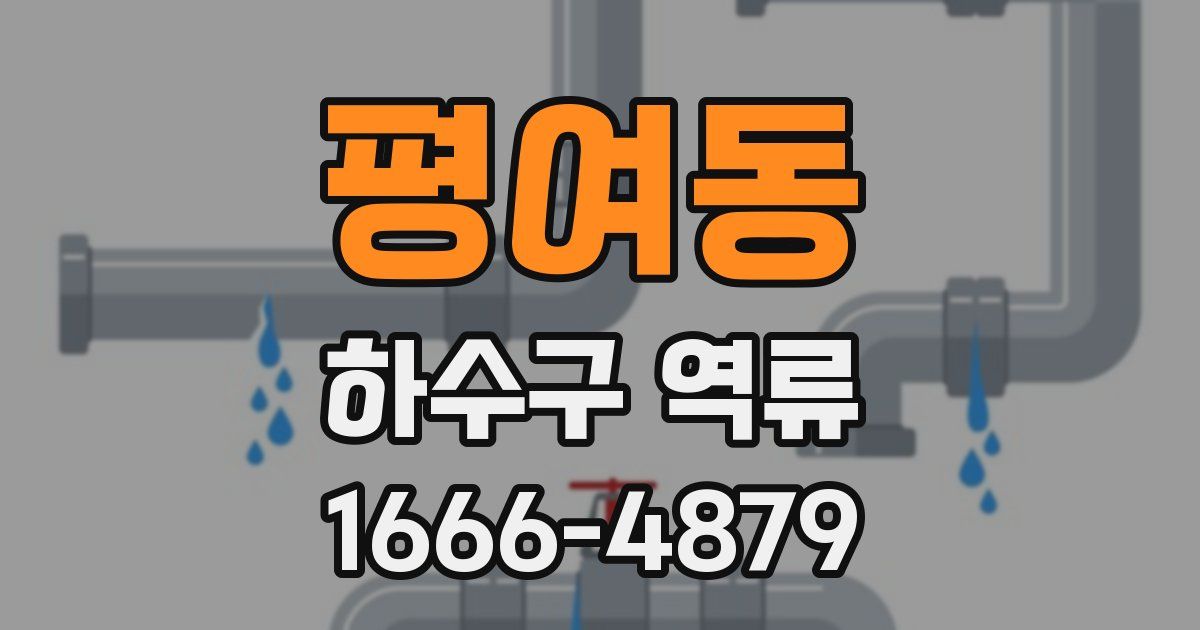 평여동 하수구 역류