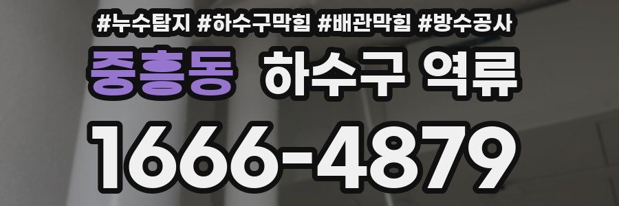 중흥동 하수구 역류