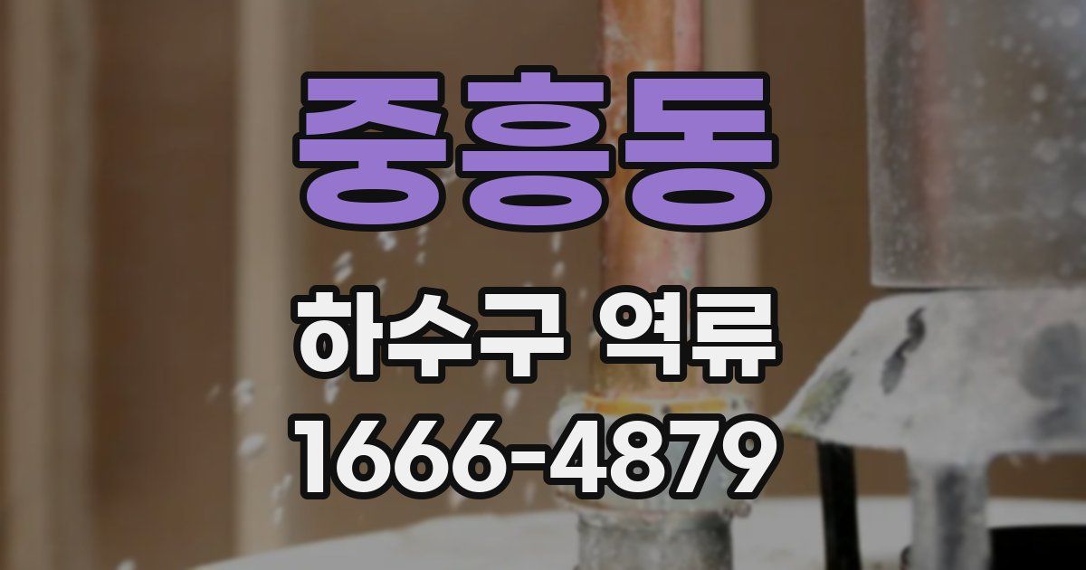 중흥동 하수구 역류