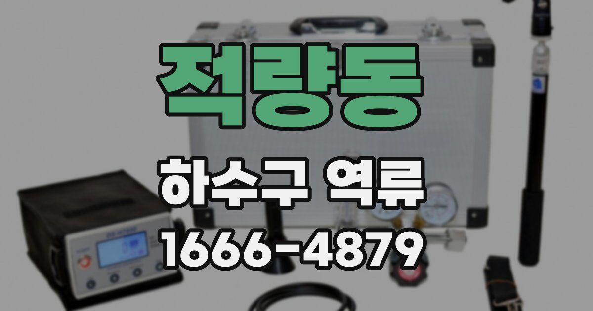 적량동 하수구 역류