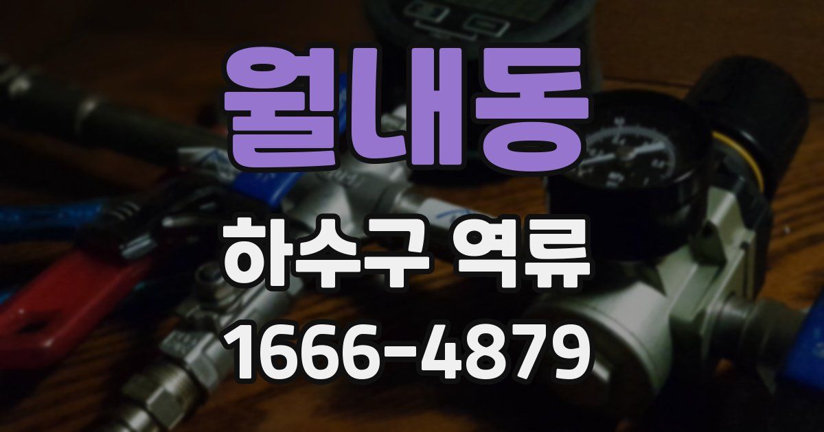 월내동 하수구 역류