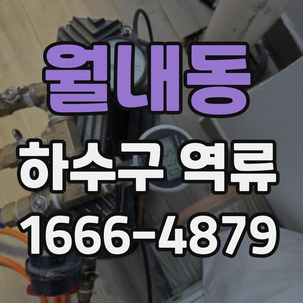월내동 하수구 역류