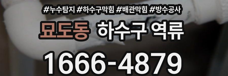 묘도동 하수구 역류