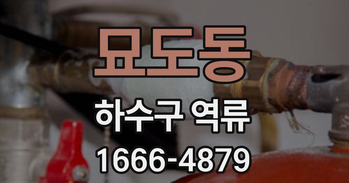 묘도동 하수구 역류