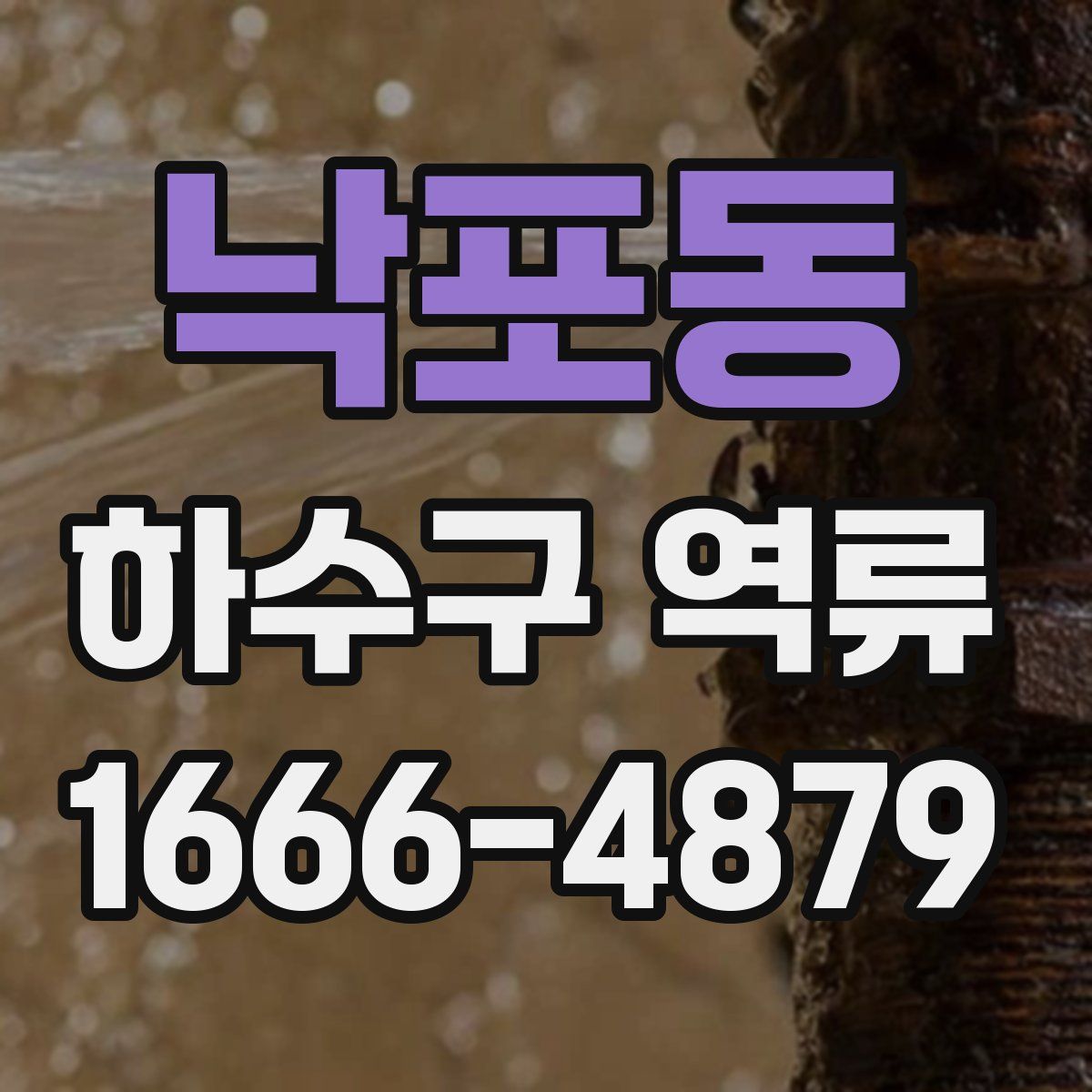 낙포동 하수구 역류