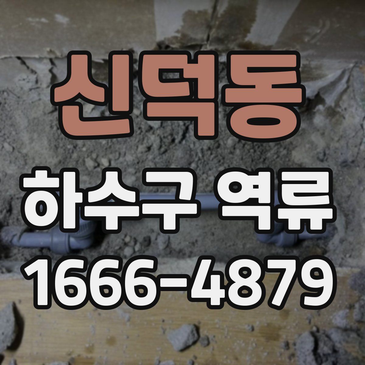 신덕동 하수구 역류