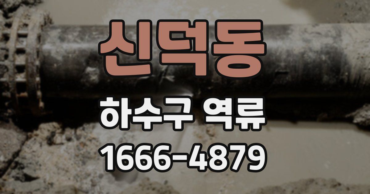 신덕동 하수구 역류