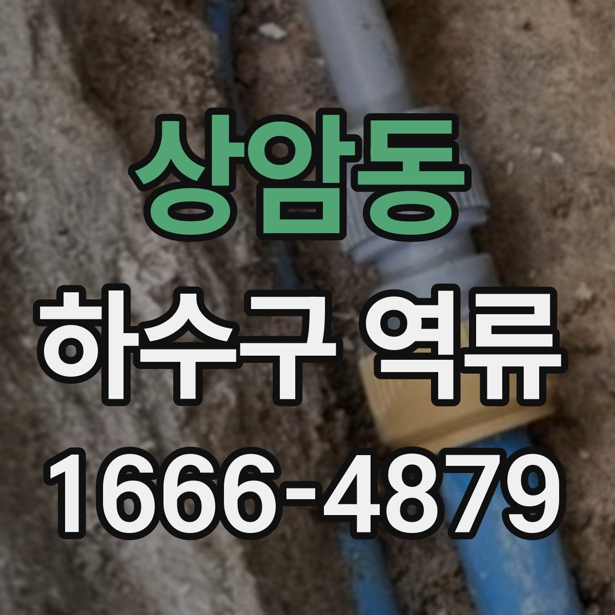 상암동 하수구 역류