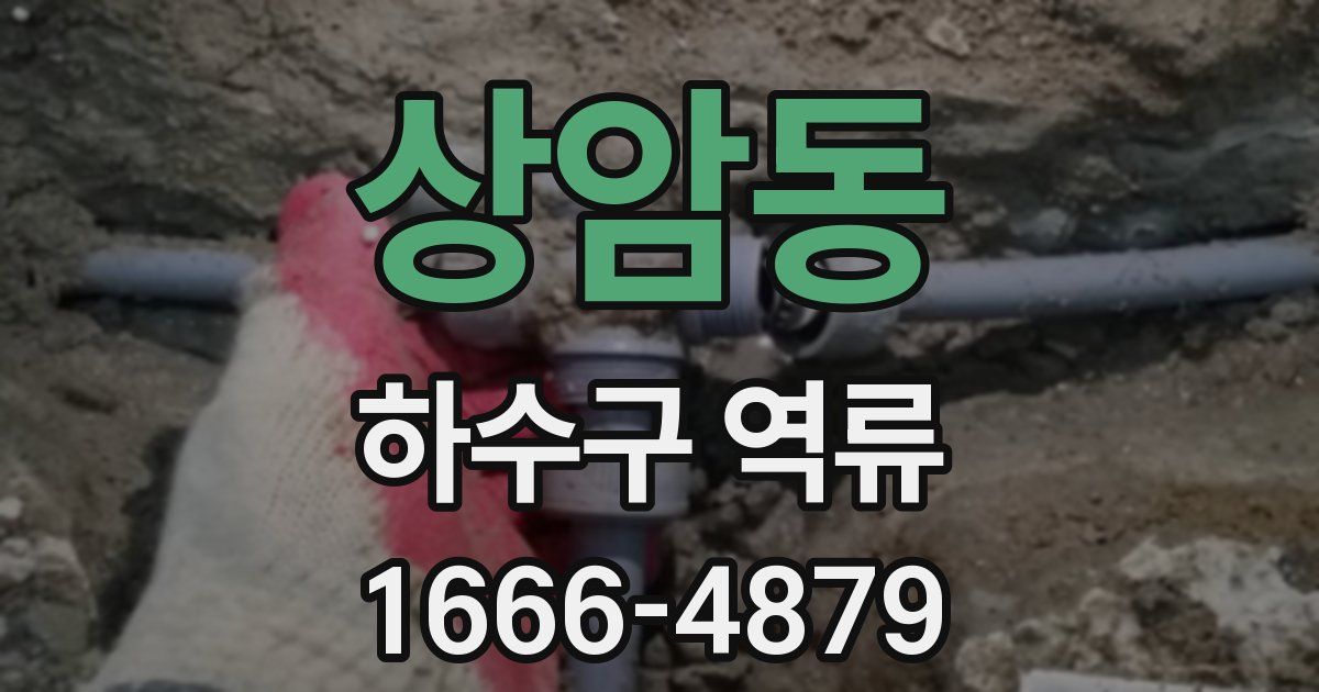상암동 하수구 역류