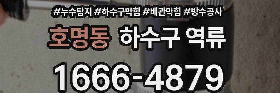 호명동 하수구 역류