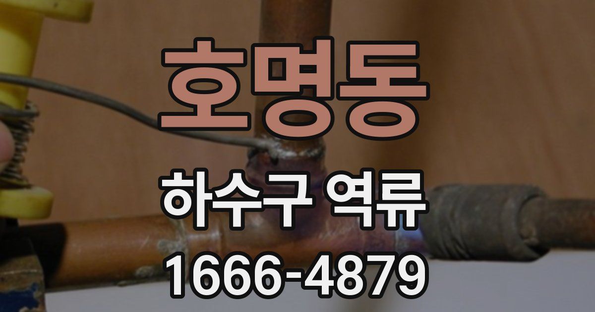 호명동 하수구 역류