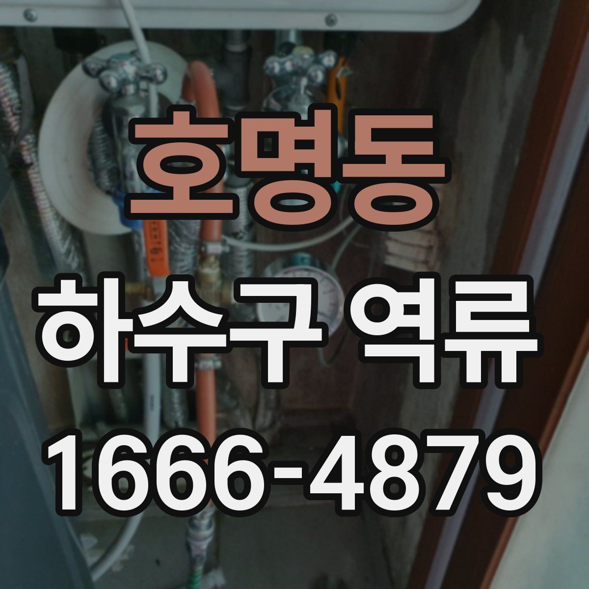 호명동 하수구 역류
