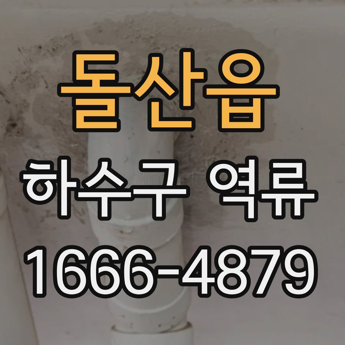 돌산읍 하수구 역류