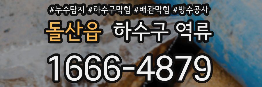 돌산읍 하수구 역류