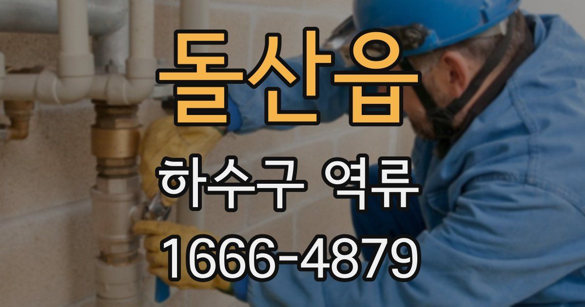돌산읍 하수구 역류