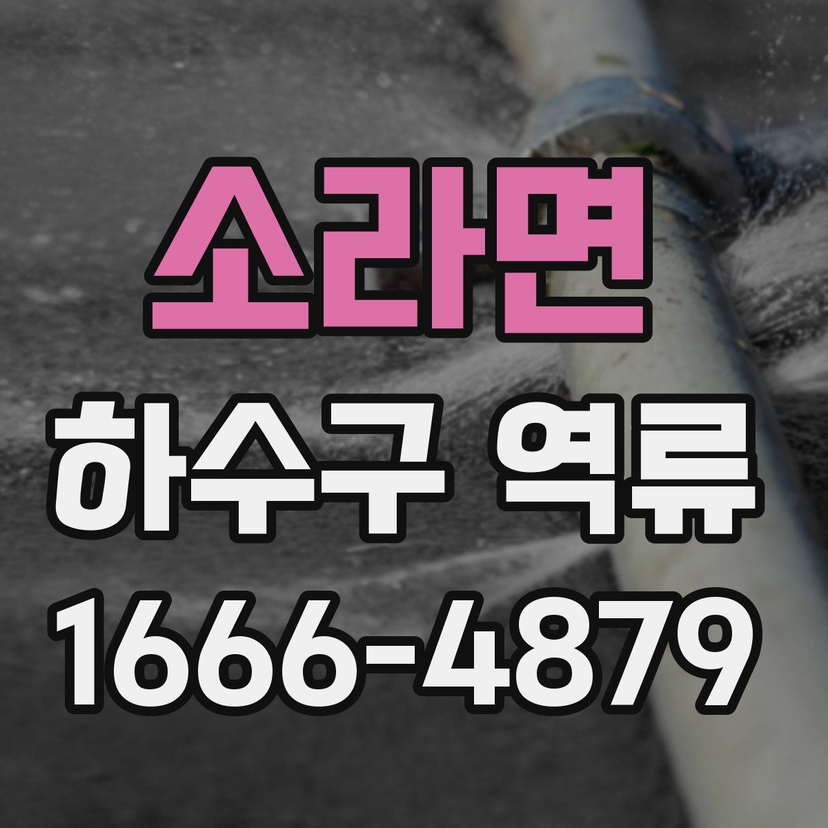소라면 하수구 역류
