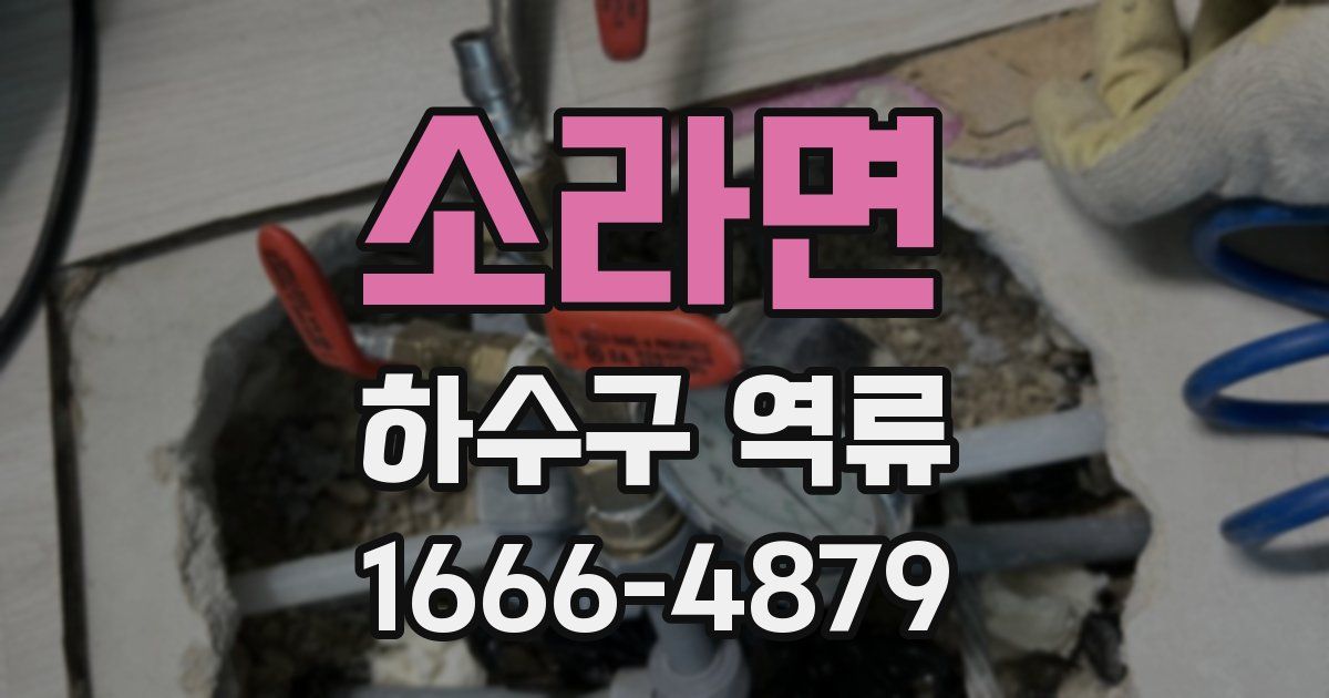 소라면 하수구 역류
