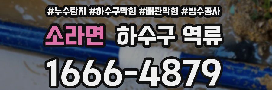 소라면 하수구 역류