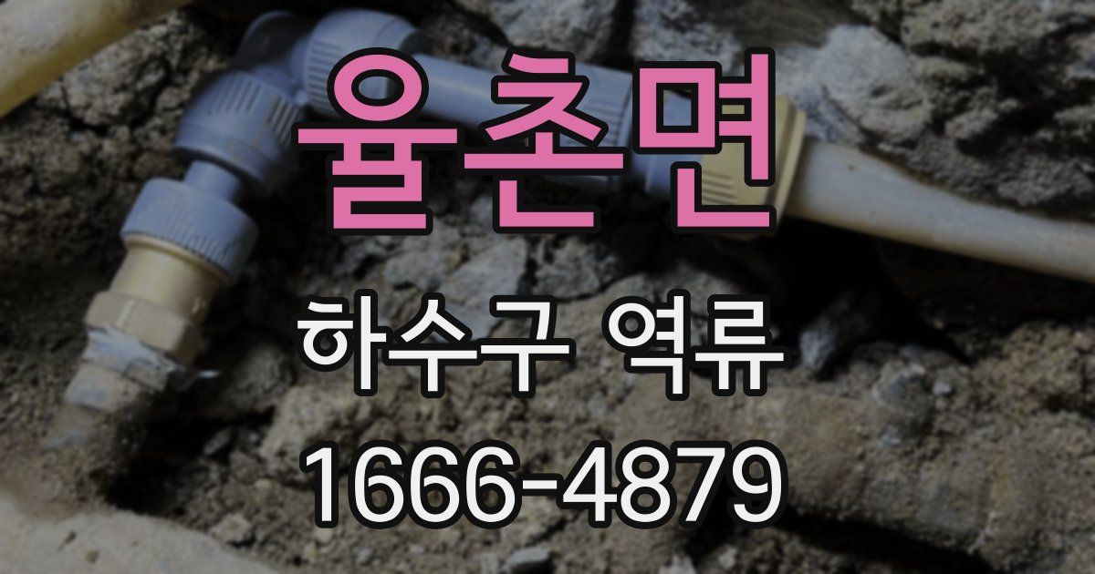 율촌면 하수구 역류
