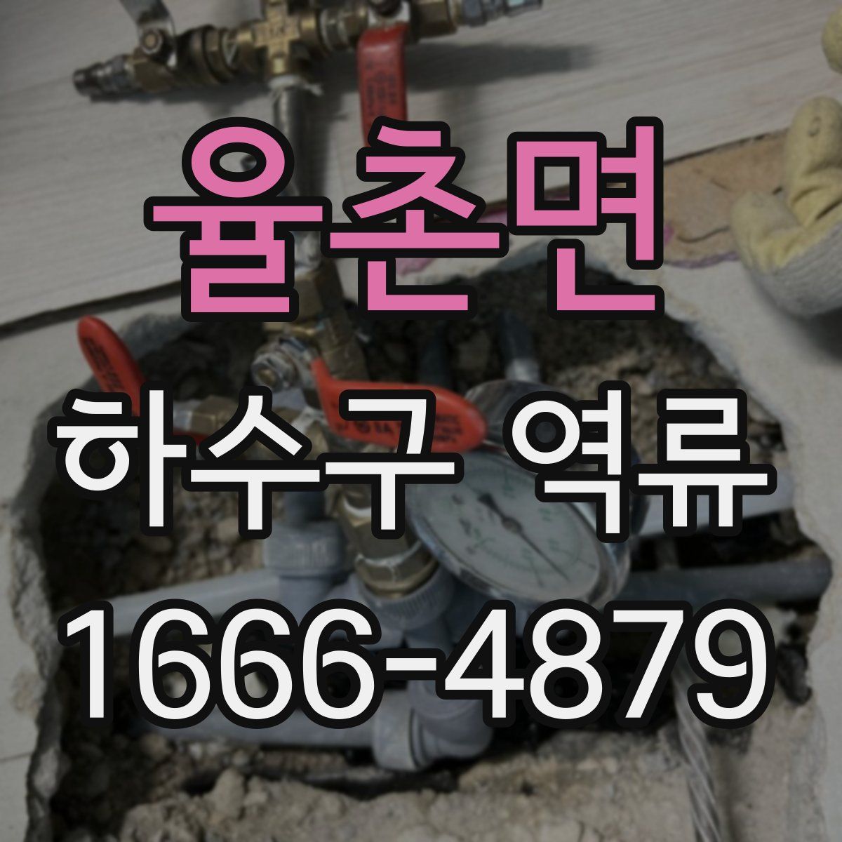 율촌면 하수구 역류