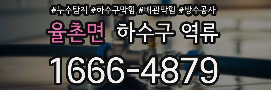 율촌면 하수구 역류