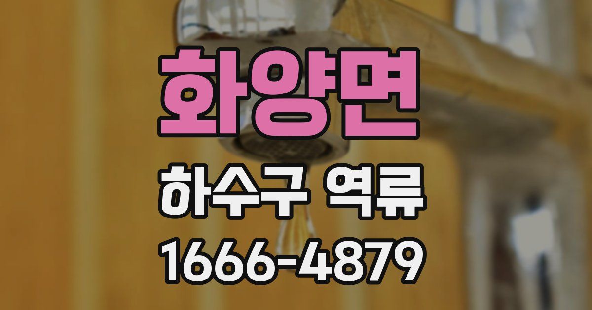 화양면 하수구 역류