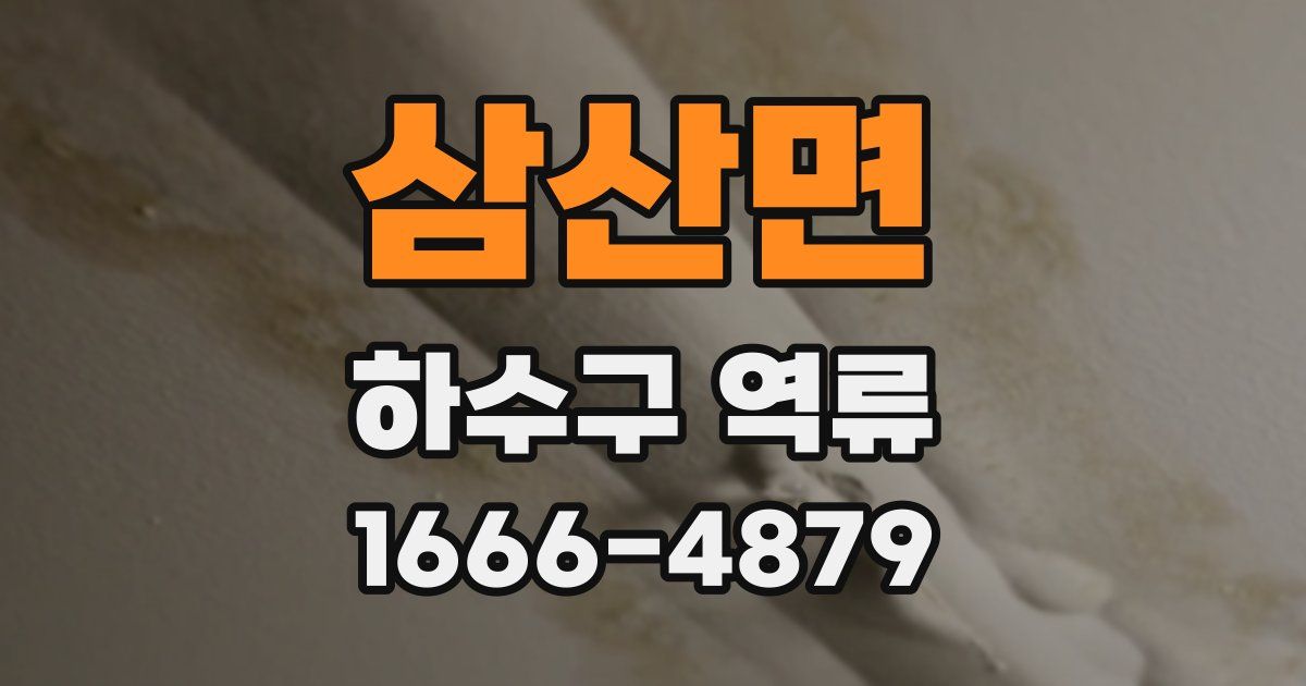삼산면 하수구 역류