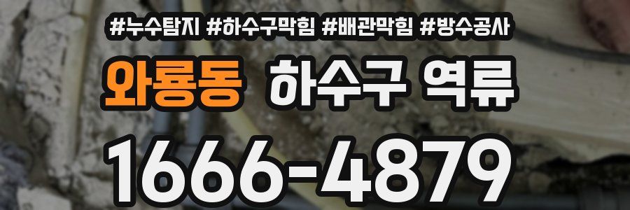 와룡동 하수구 역류