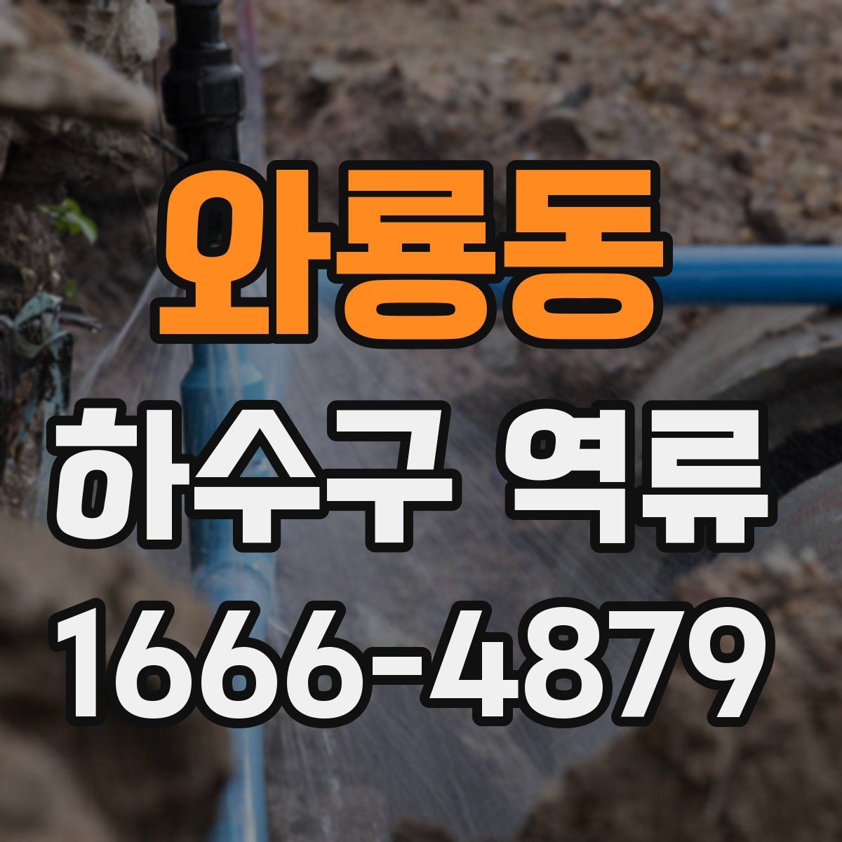와룡동 하수구 역류
