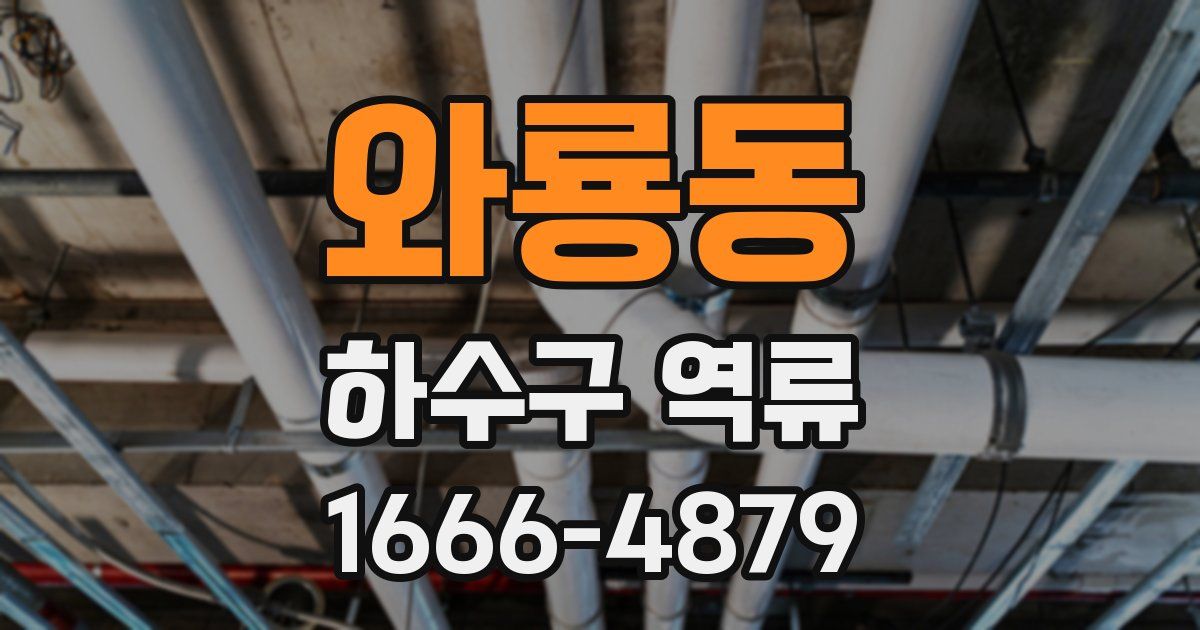 와룡동 하수구 역류